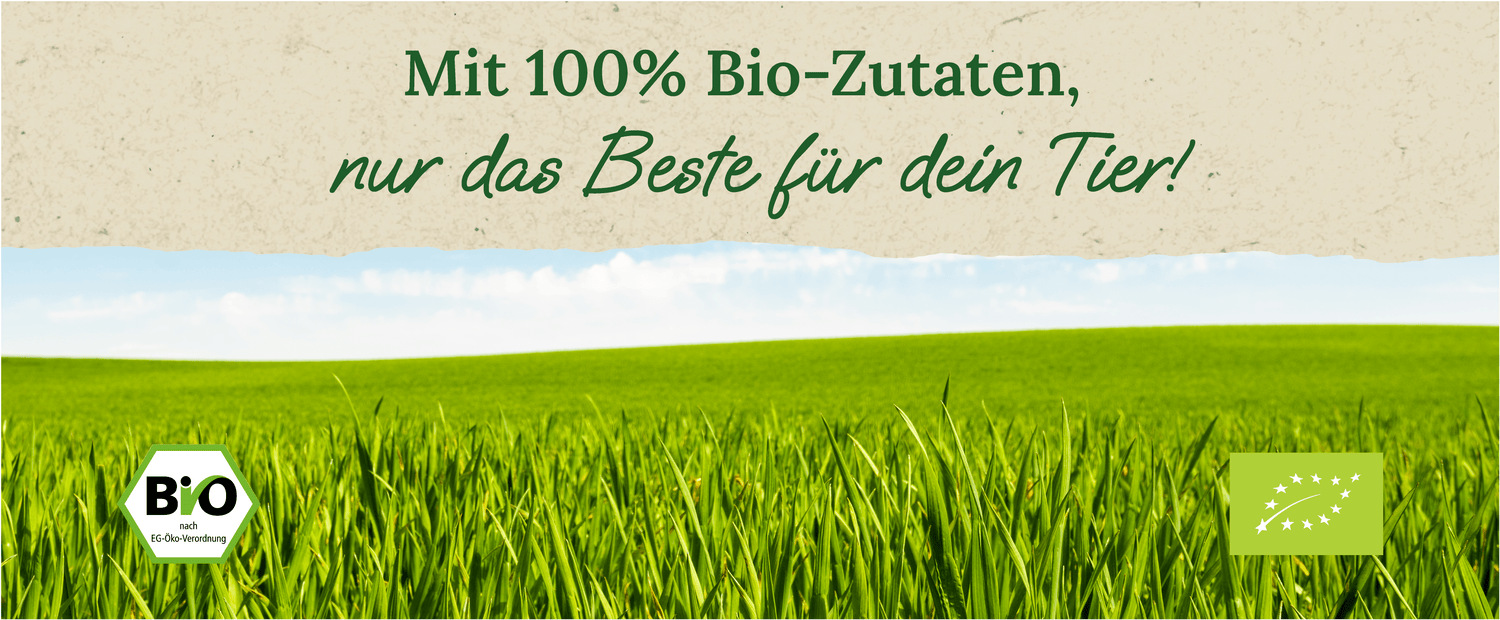 100% Bio-Zutaten, nur das Beste für dein Tier!