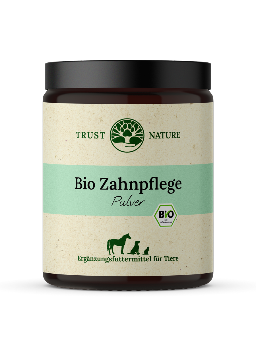 BIO ZAHNPFLEGE (Pulver)