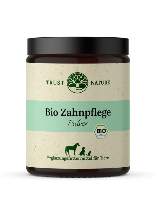 BIO ZAHNPFLEGE (Pulver)